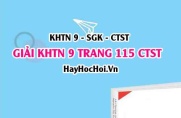 Giải KHTN 9 trang 115 Chân trời sáng tạo SGK